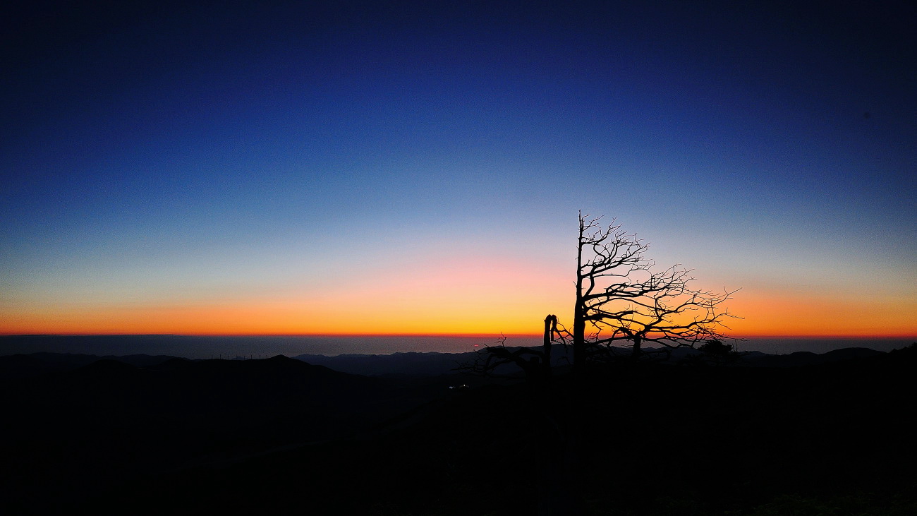 DSC_7597.jpg