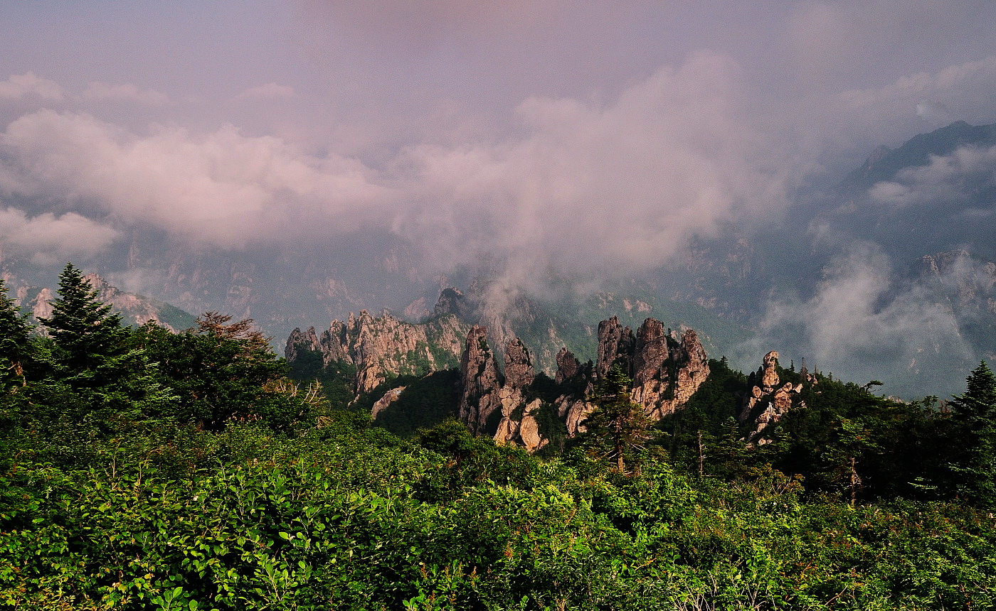 DSC_9526.jpg