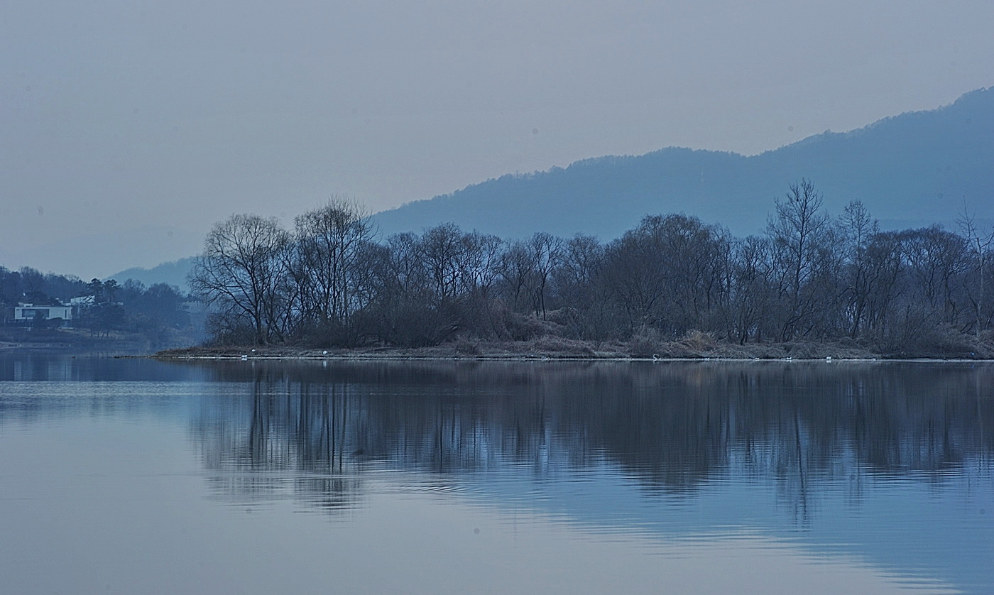 DSC_4787.jpg