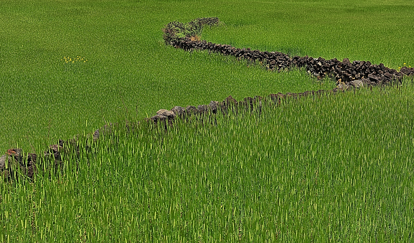 GHP_8610.jpg