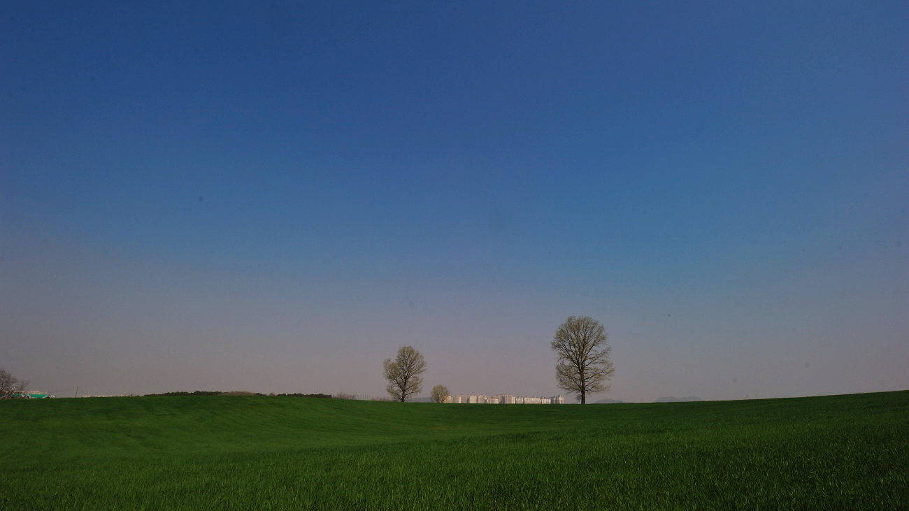 DSC_6307.jpg