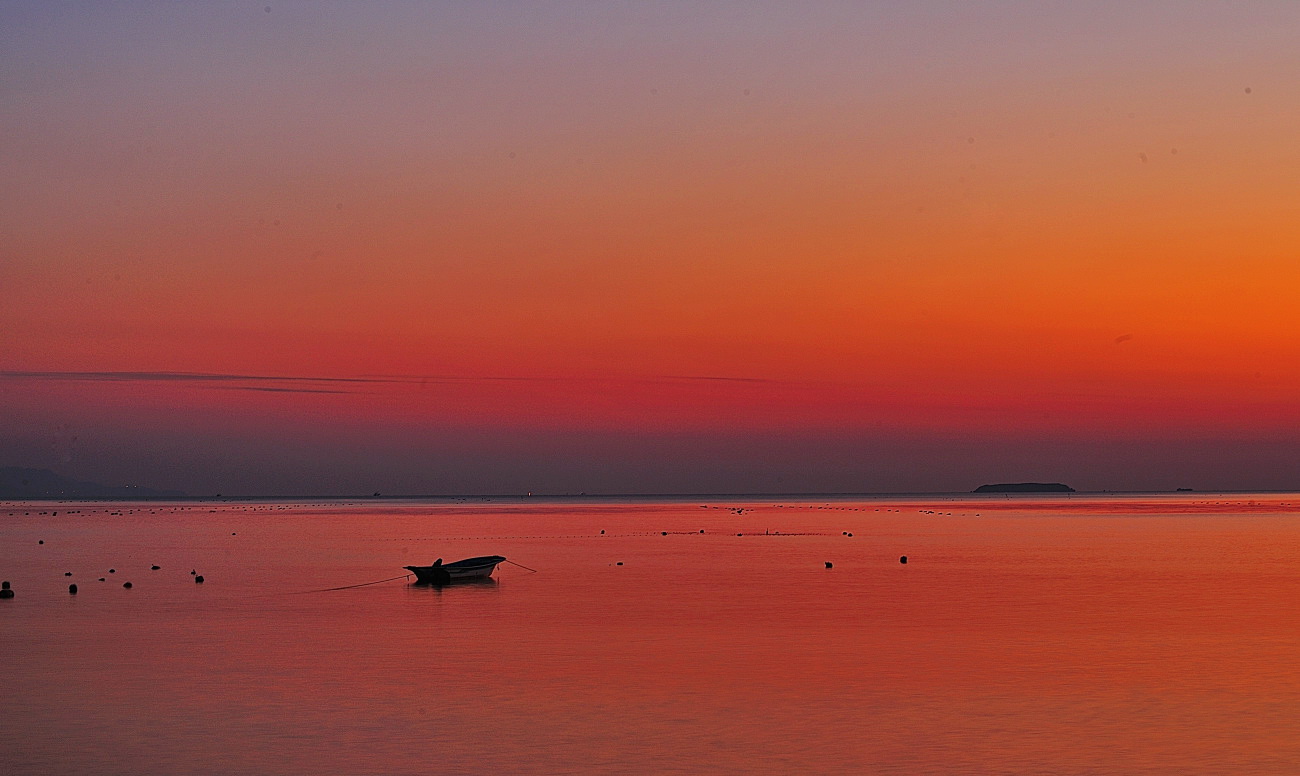 DSC_4468.jpg