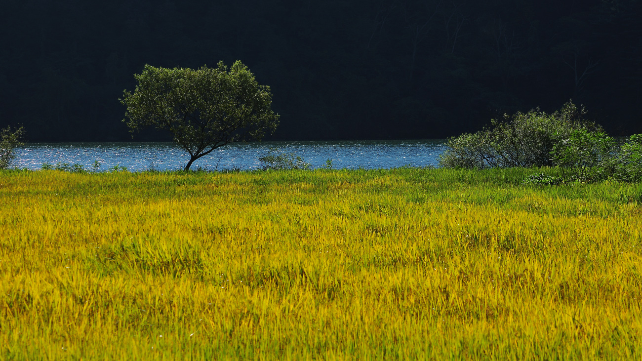 DSC_3262.jpg