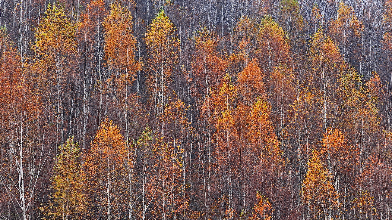DSC_0150.jpg