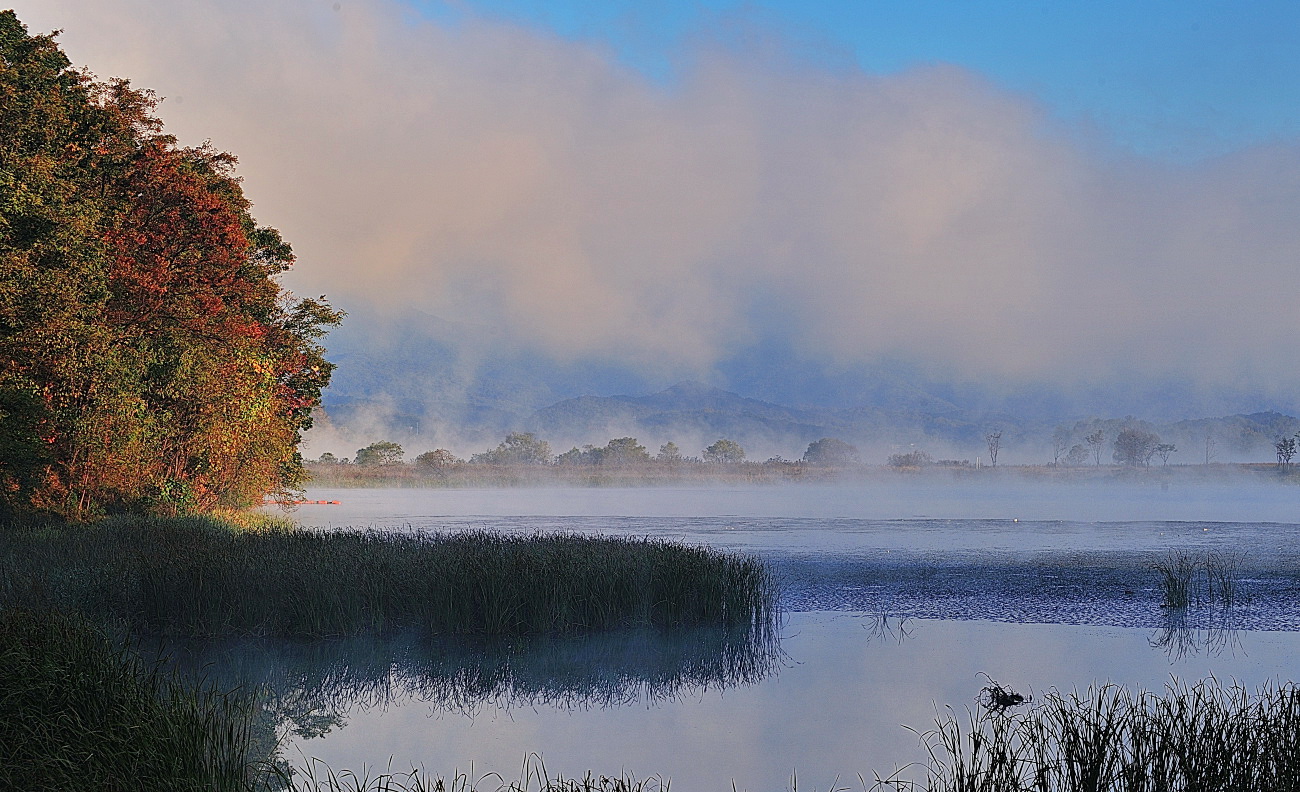 DSC_7932.jpg