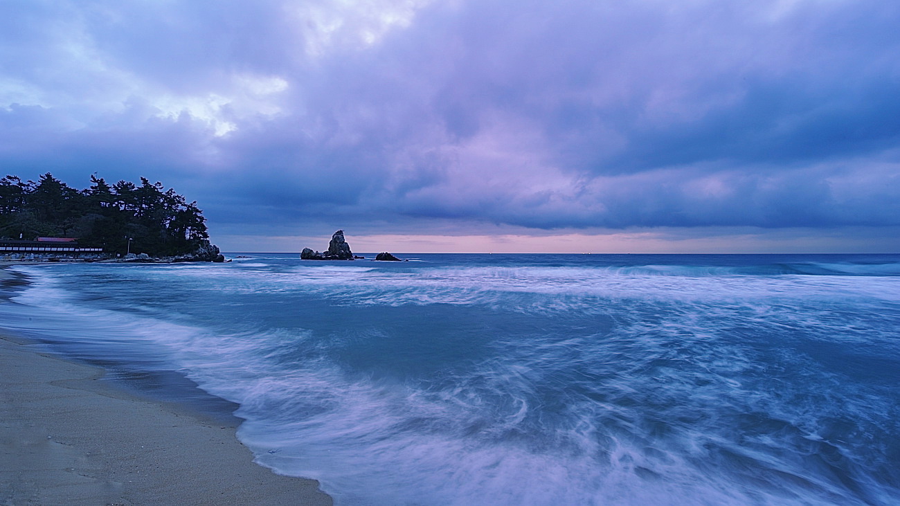 DSC_7908.jpg
