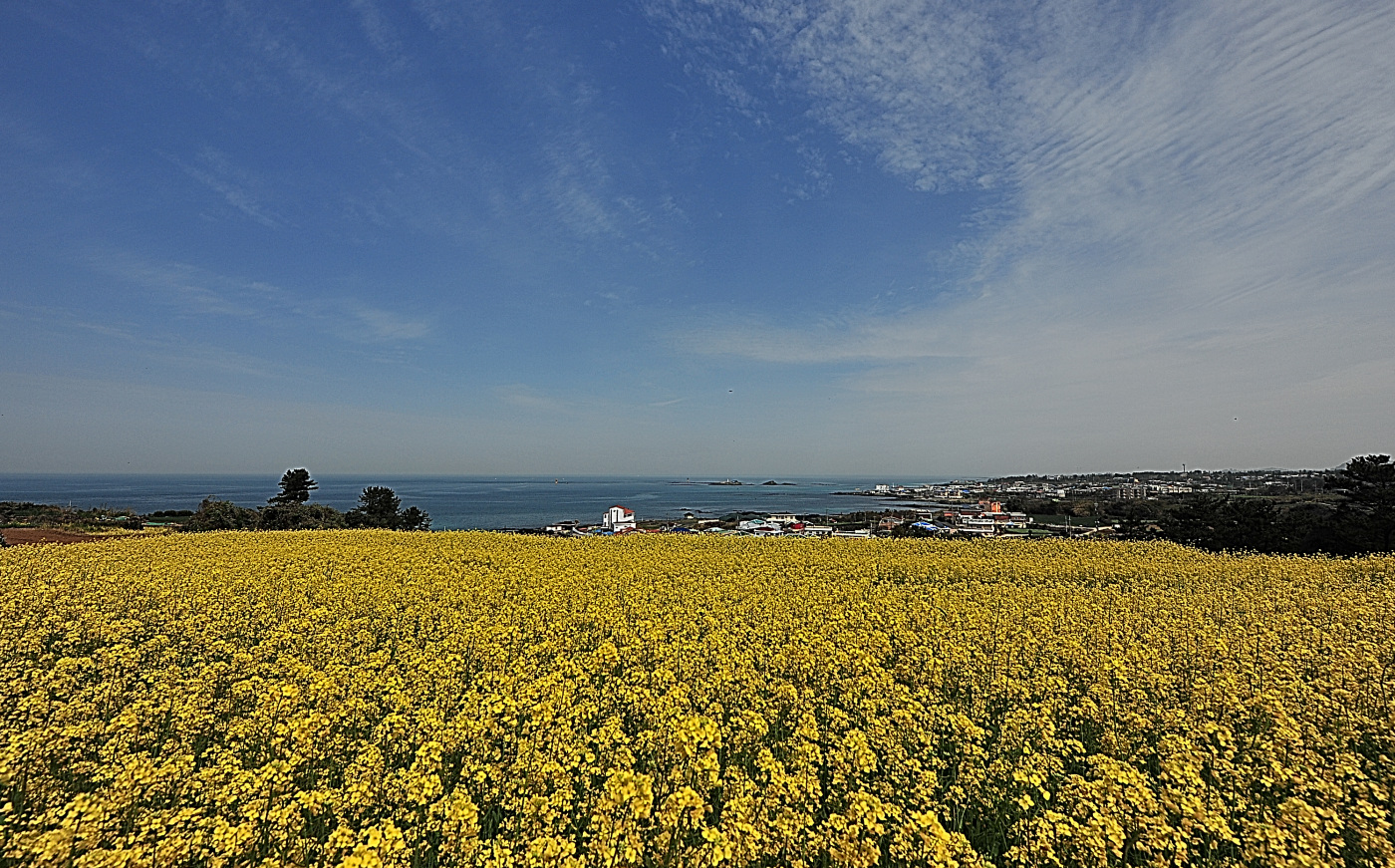GHP_8838.jpg