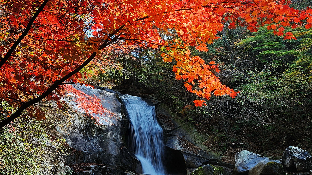 DSC_8002.jpg