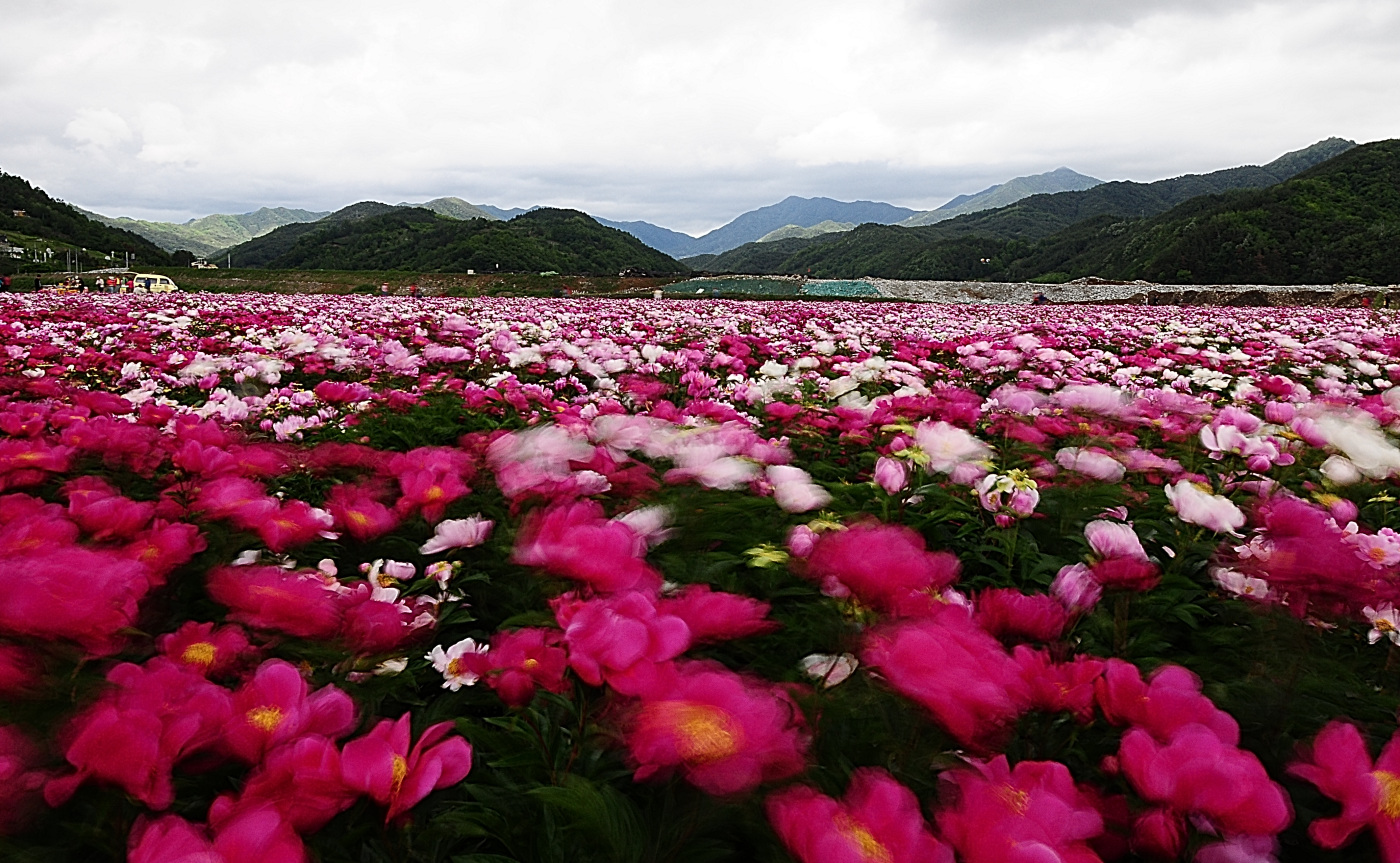 DSC_5294_00001.jpg