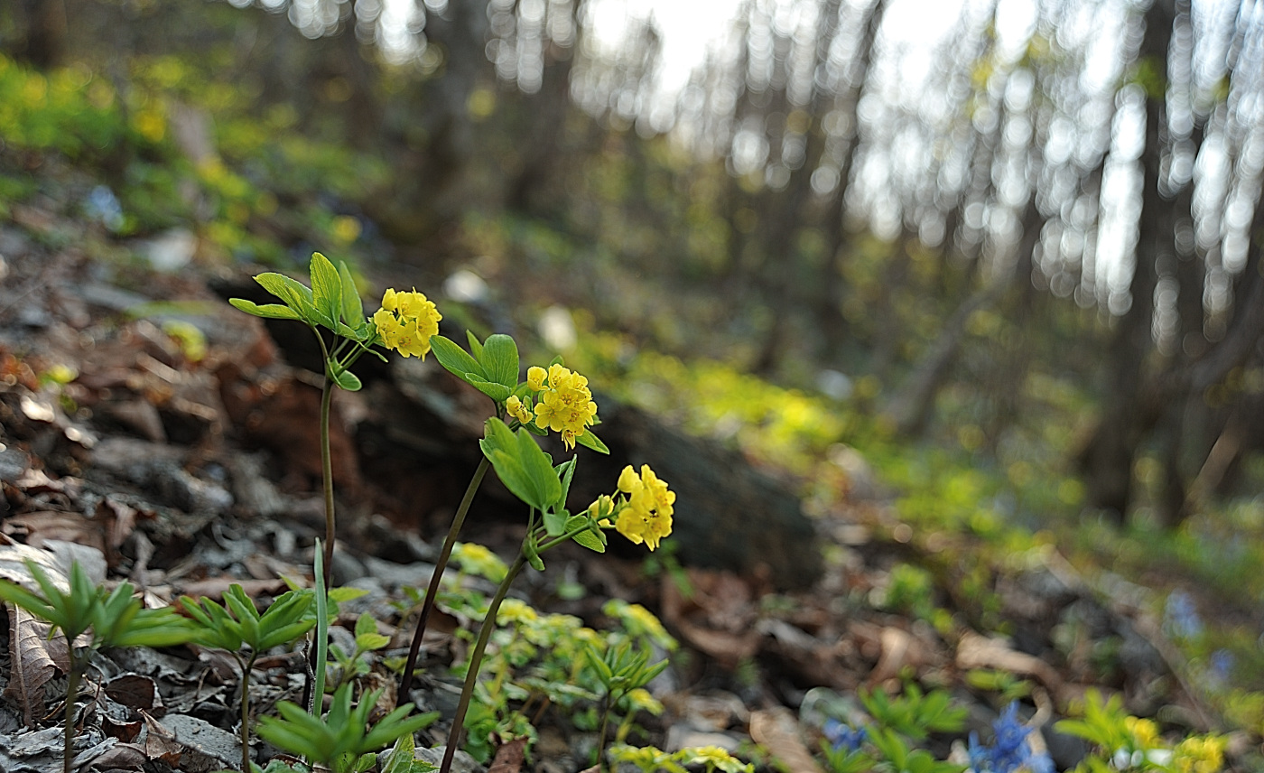 DSC_8963_00001.jpg