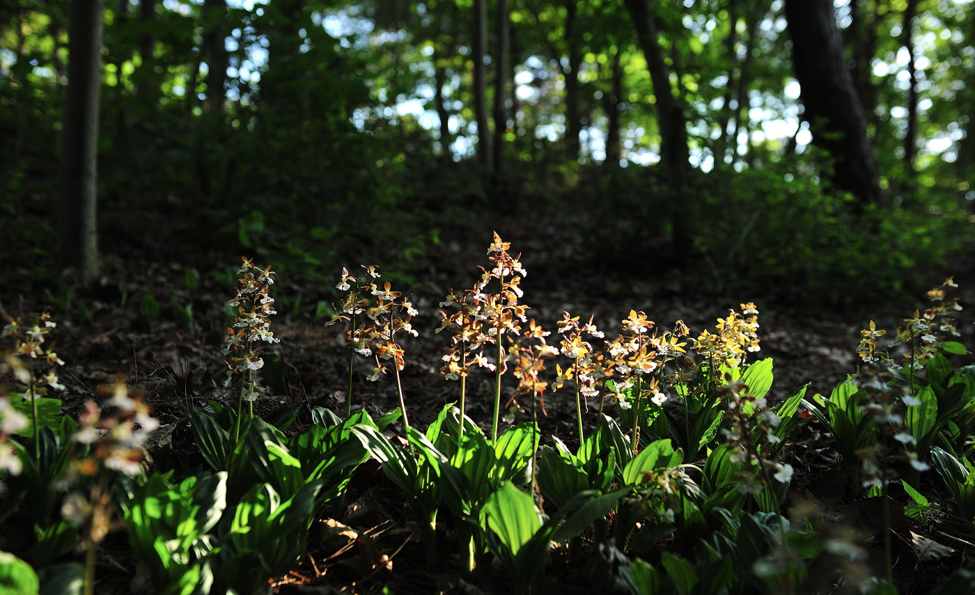 PGH_4717_00001.jpg