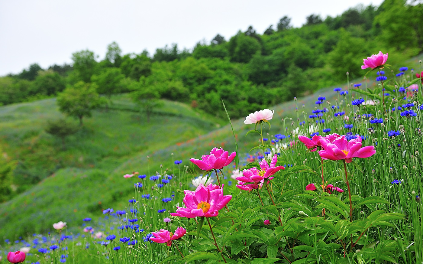 PGH_7496_00001.jpg