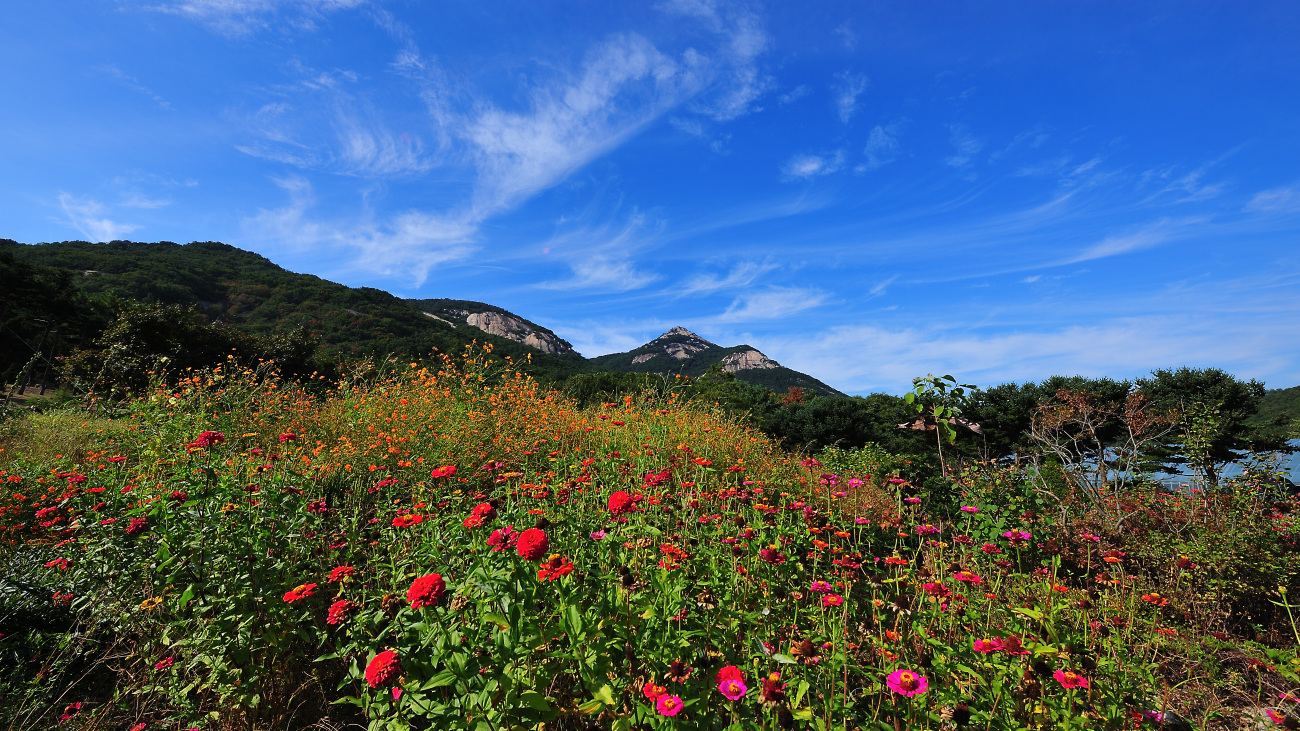 DSC_3449.jpg