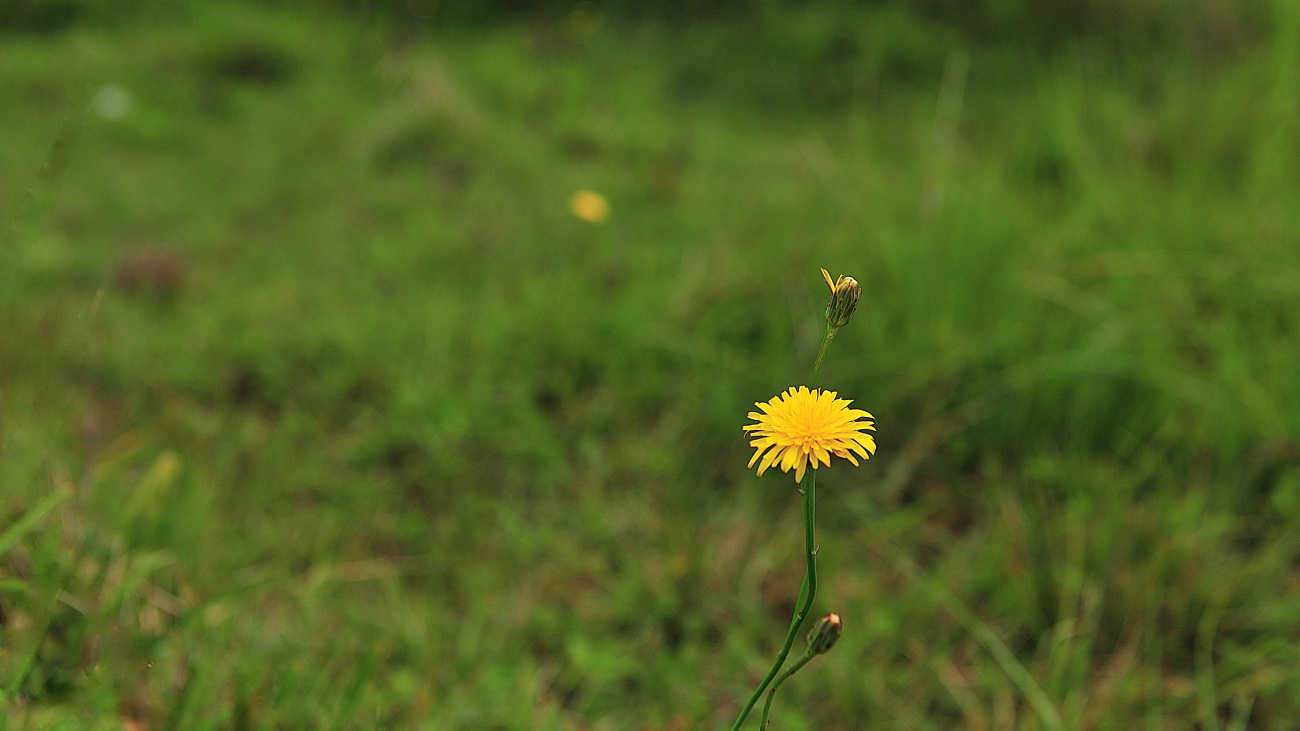 PGH_9480_00001.jpg