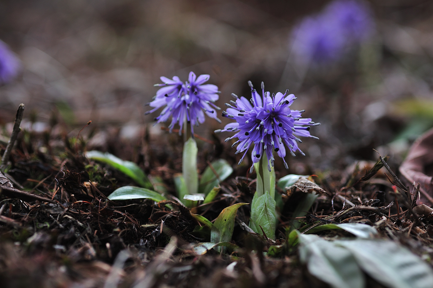 GHP_0323_00001.jpg