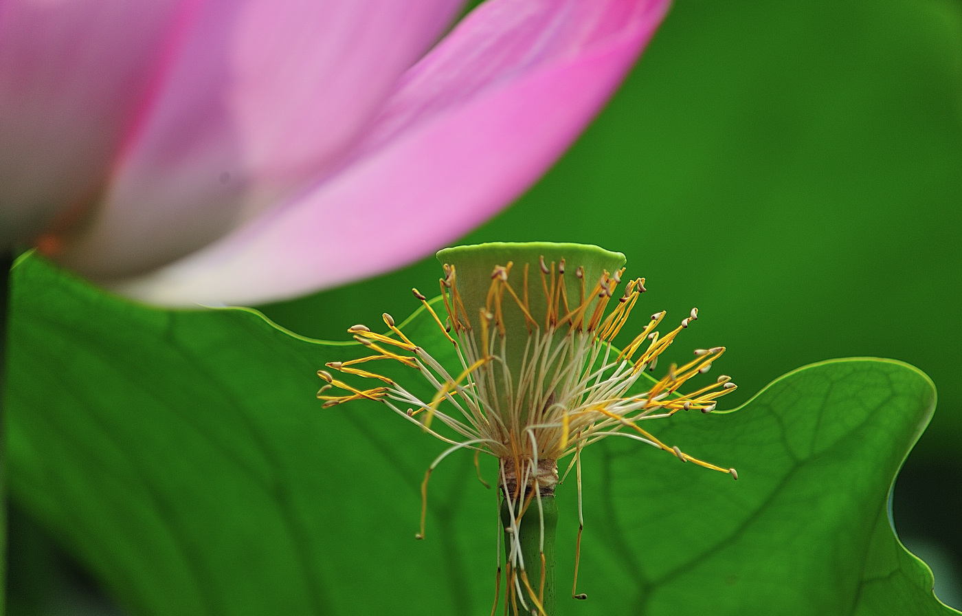 PGH_6349_00001.jpg