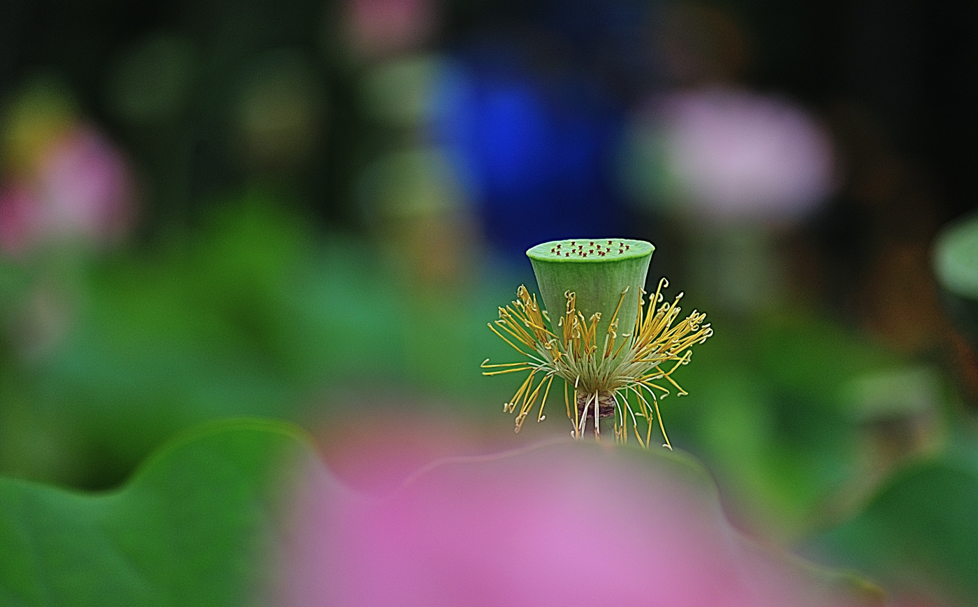 PGH_6673_00001.jpg
