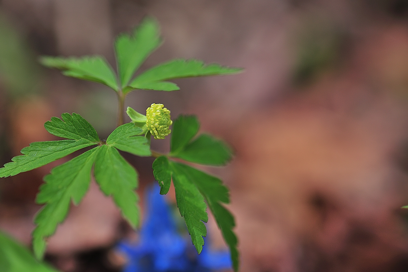 GHP_0141_00001.jpg