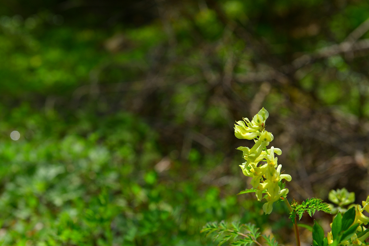PGH_1253_00001.jpg