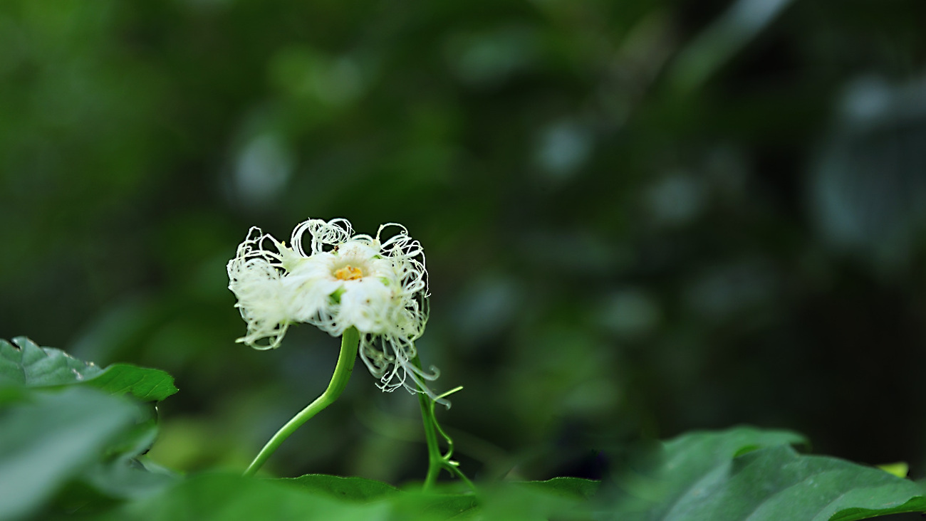 GHP_0077.jpg