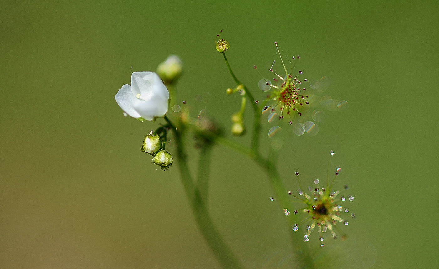 DSC_6826_00001.jpg
