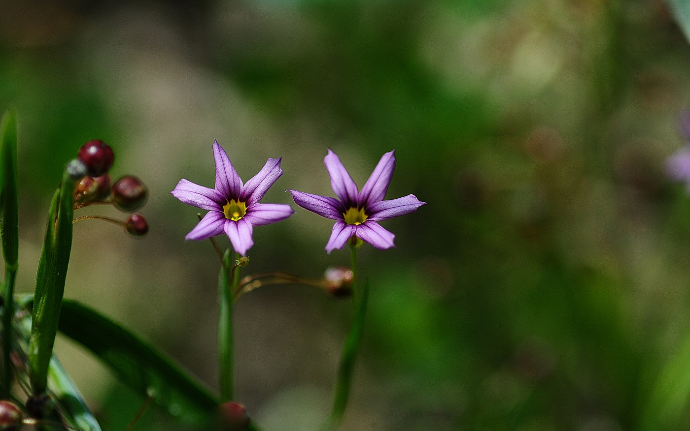 DSC_6978_00001.jpg