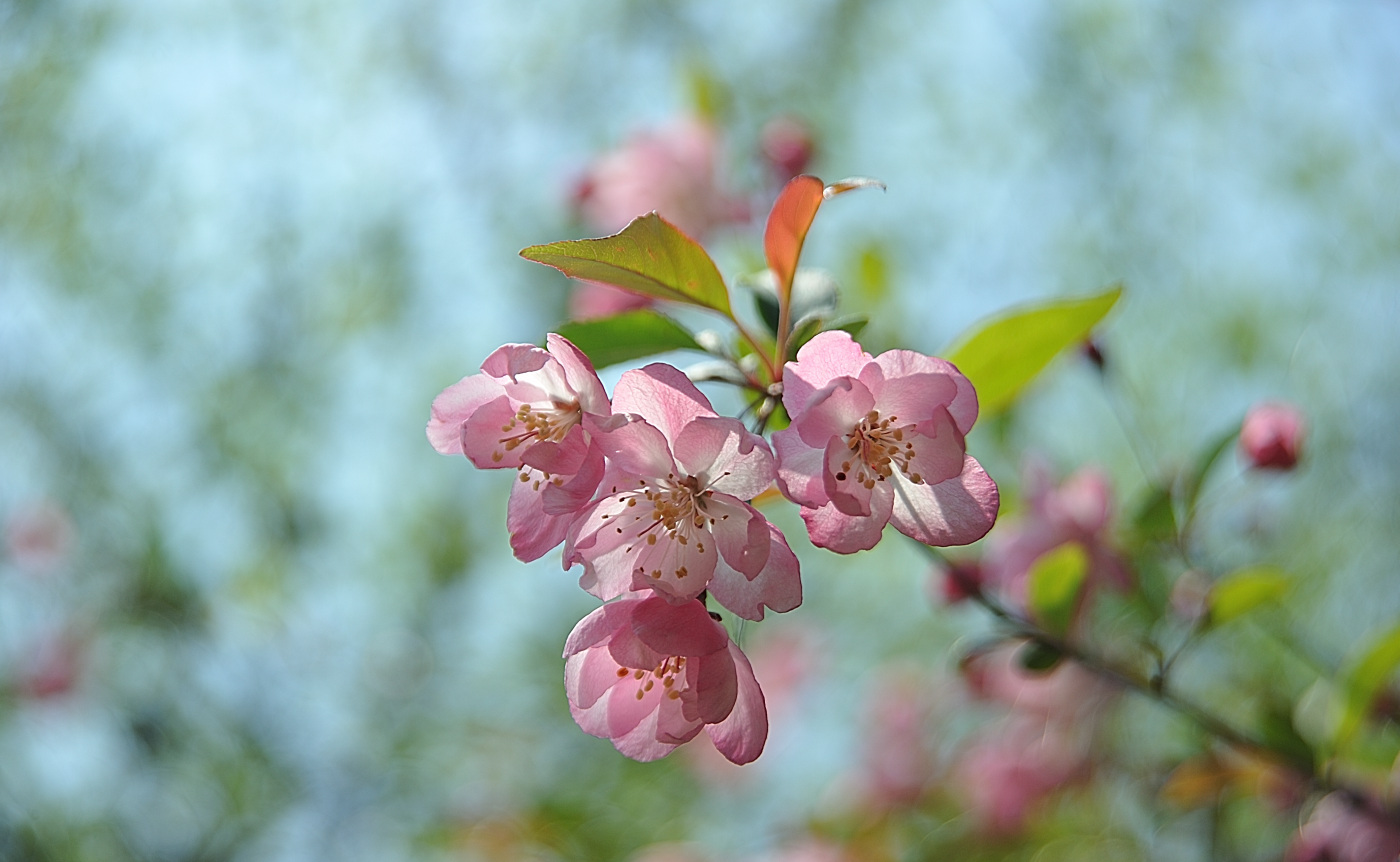 DSC_8825_00001.jpg