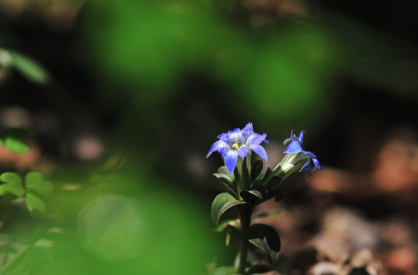 GHP_7557_00001.jpg