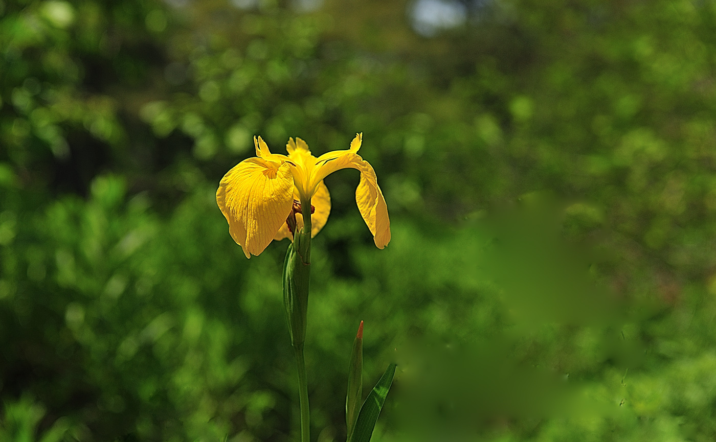 PGH_9529_00001.jpg