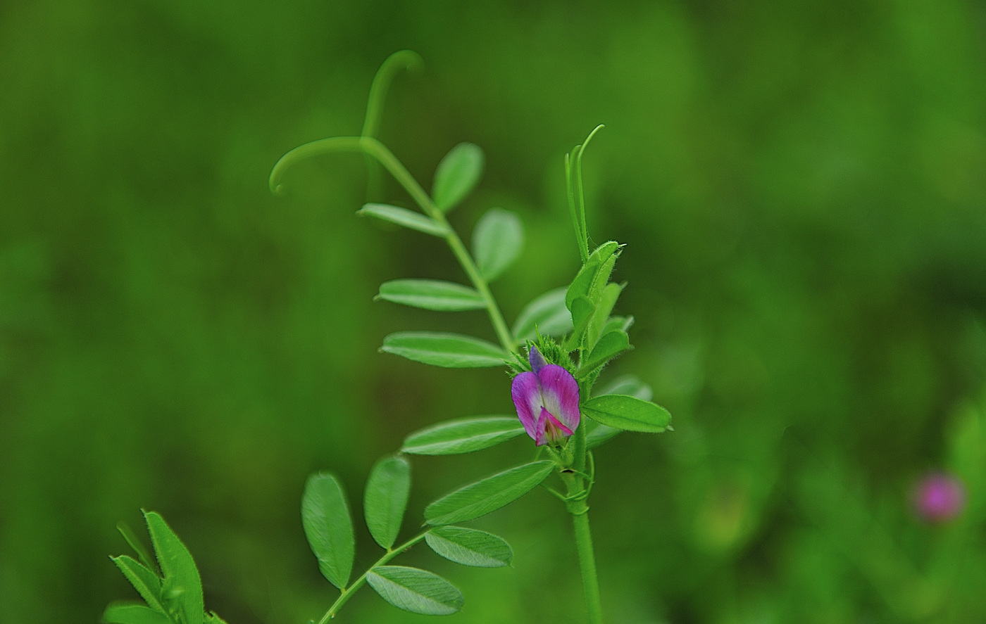 PGH_7356_00001.jpg