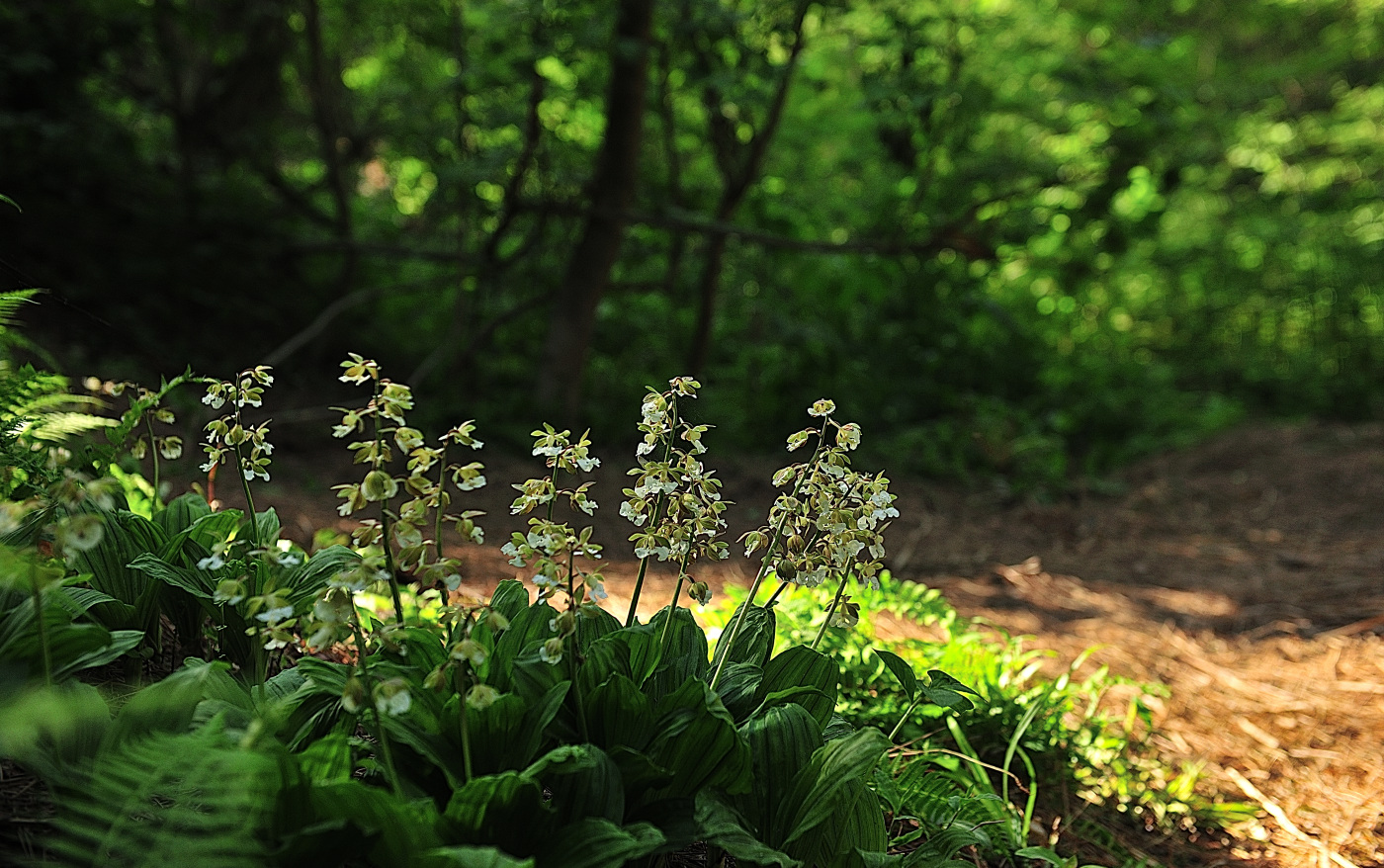 PGH_4648_00001.jpg