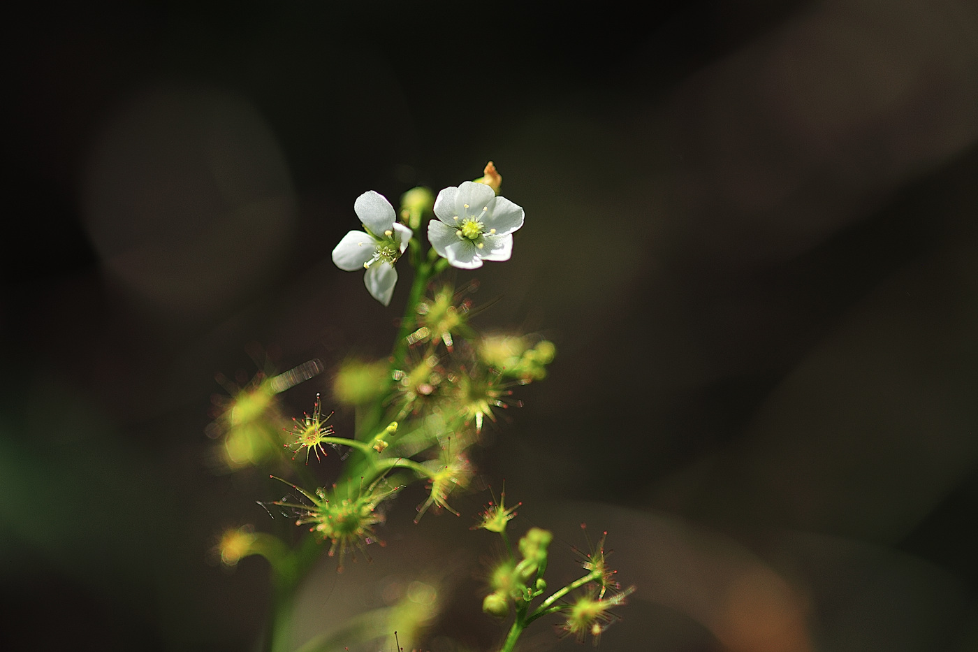 GHP_0374_00001.jpg