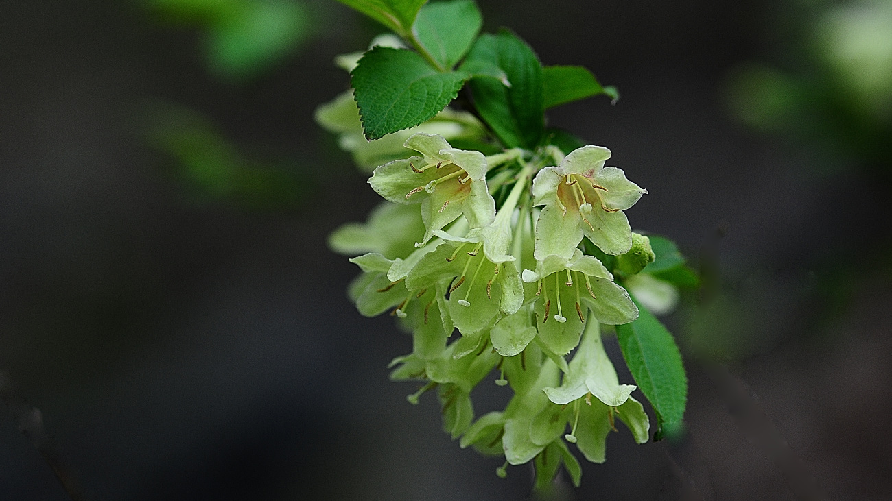 DSC_2544.jpg